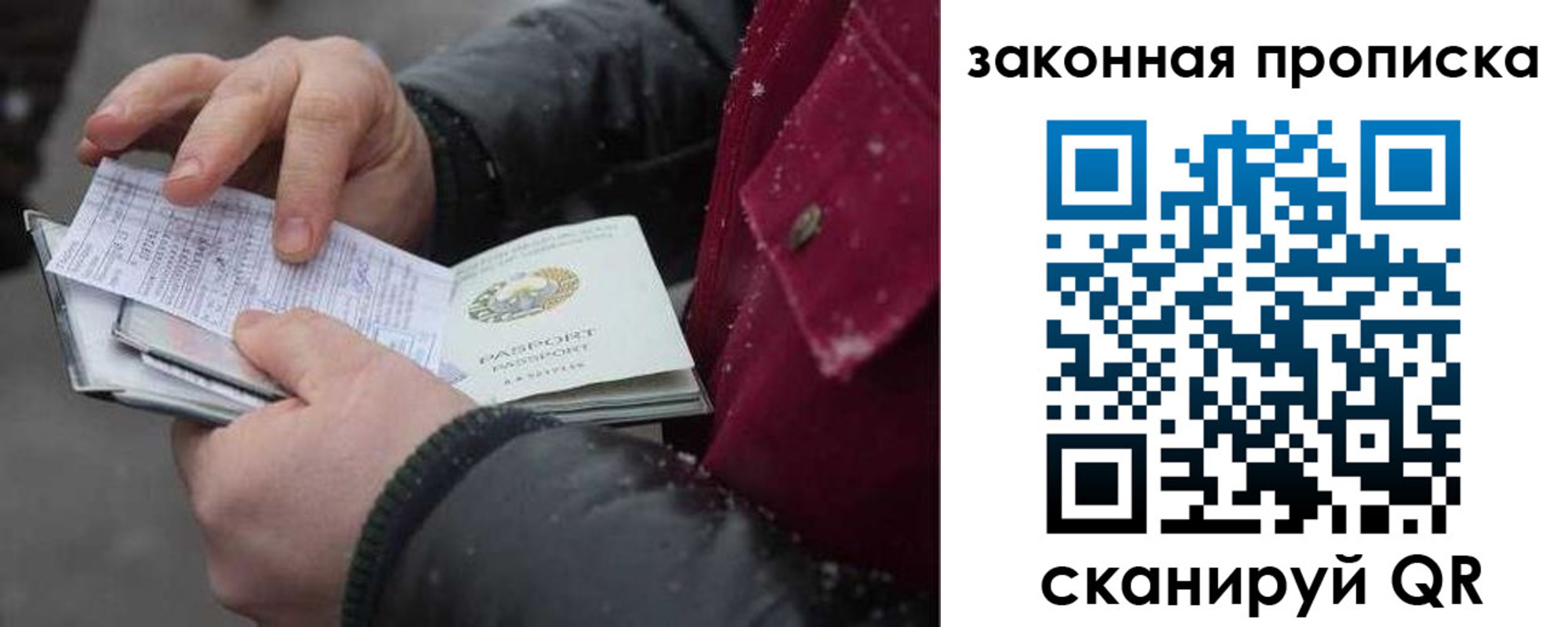 прописка поиск в Электрогорске